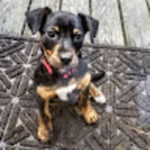 Meet your Posher, Jacob